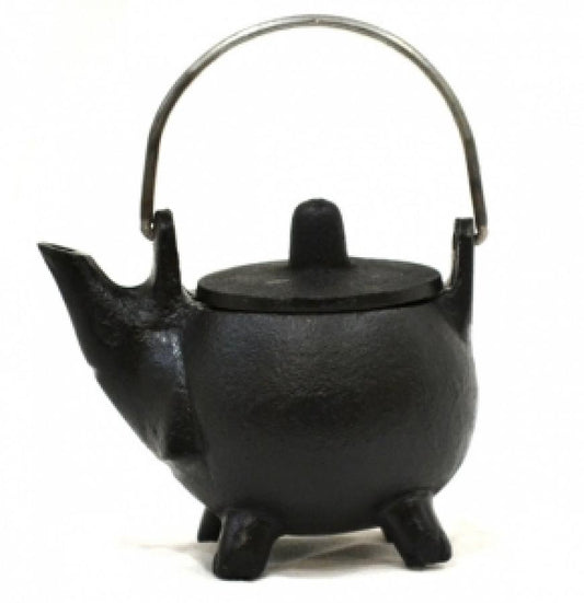 Cast Iron Cauldron w/Lid